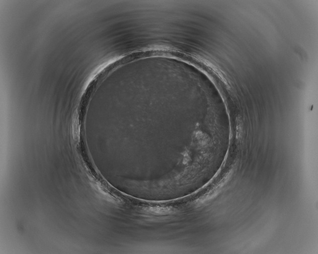 X0000112471117200908241227