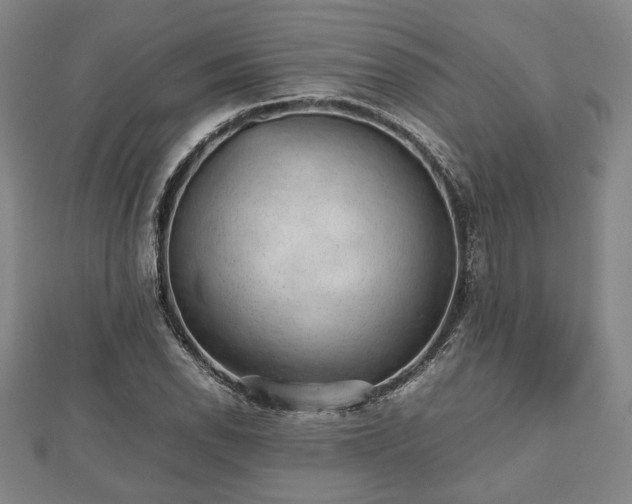 X0000112471118200908241227