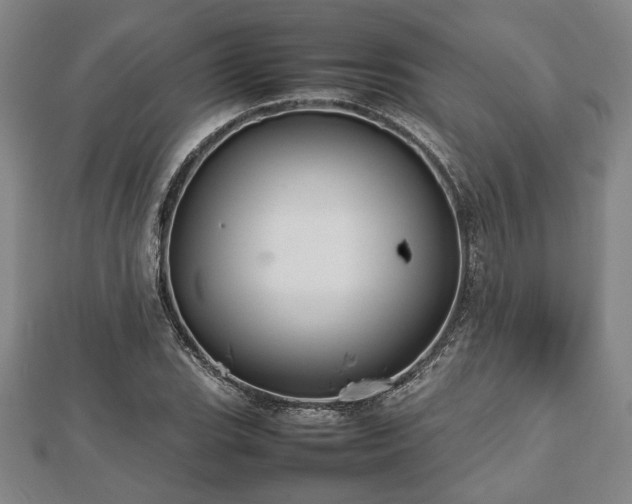 X0000112471119200908241227