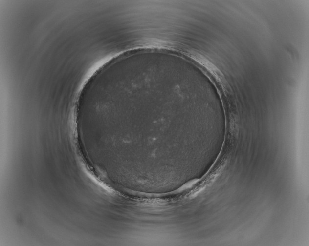 X0000112471120200908241227