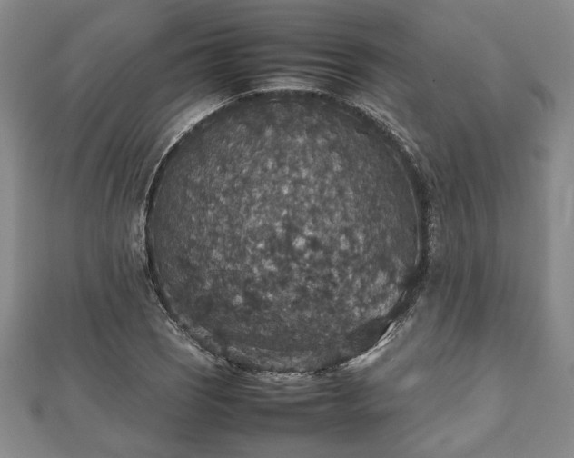 X0000112471121200908241227