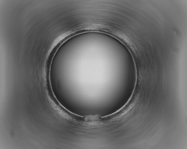 X0000112471122200908241227