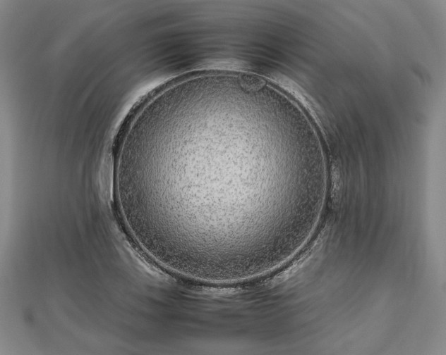 X0000112471123200908241227