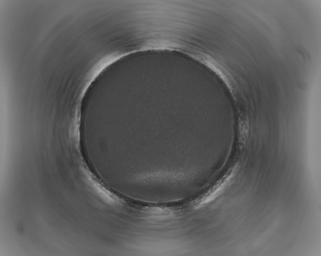 X0000112471124200908241227