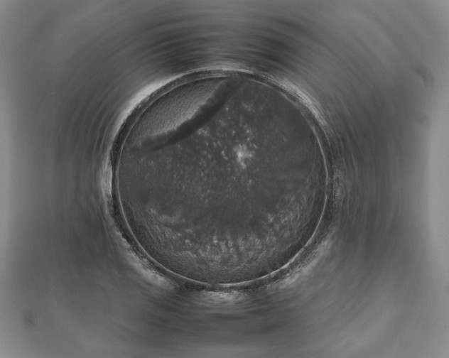 X0000112471125200908241227