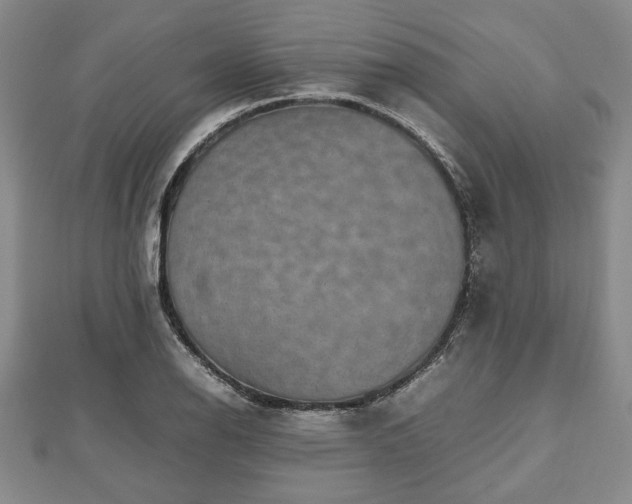 X0000112471126200908241227