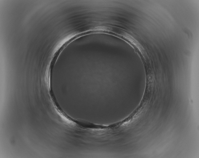 X0000112471127200908241227