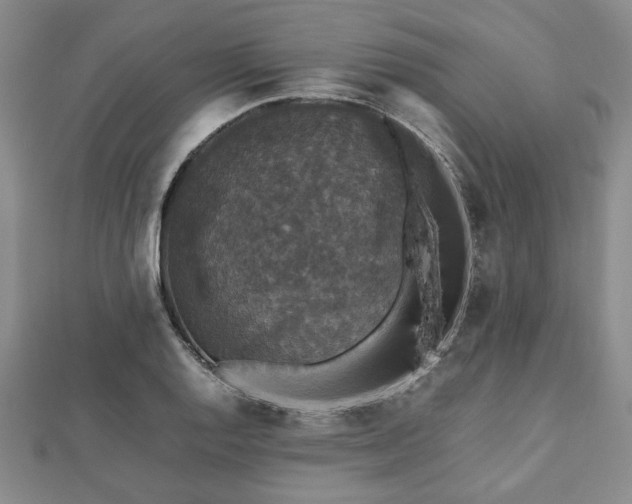 X0000112471128200908241227