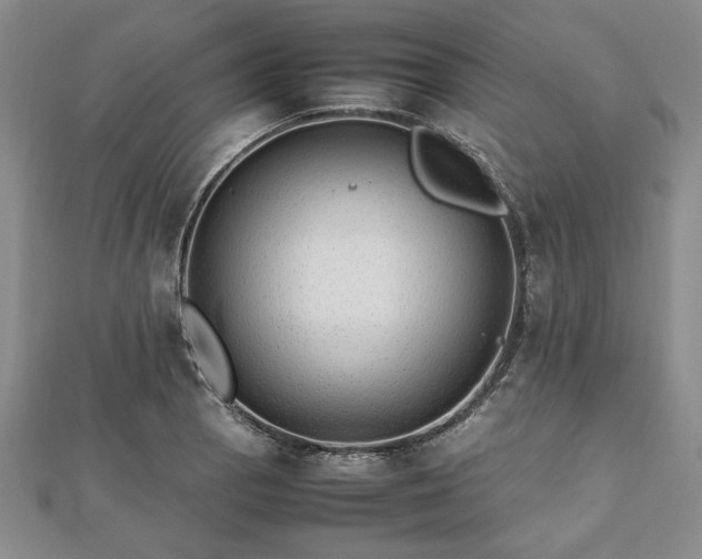 X0000112471129200908241227