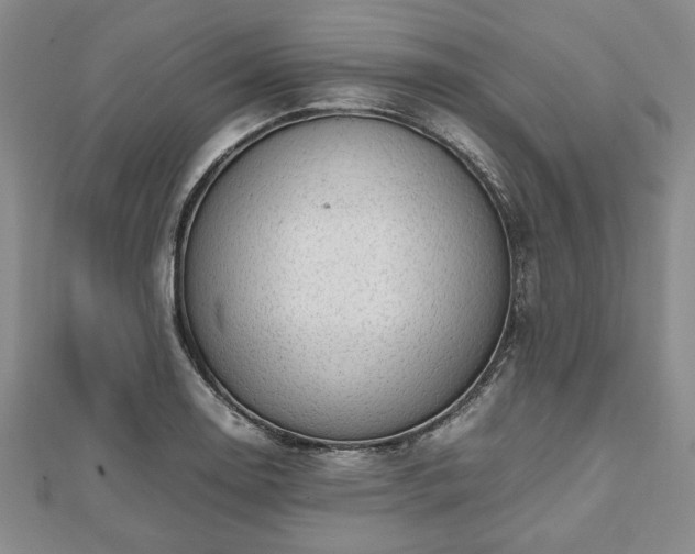 X0000112471130200908241227