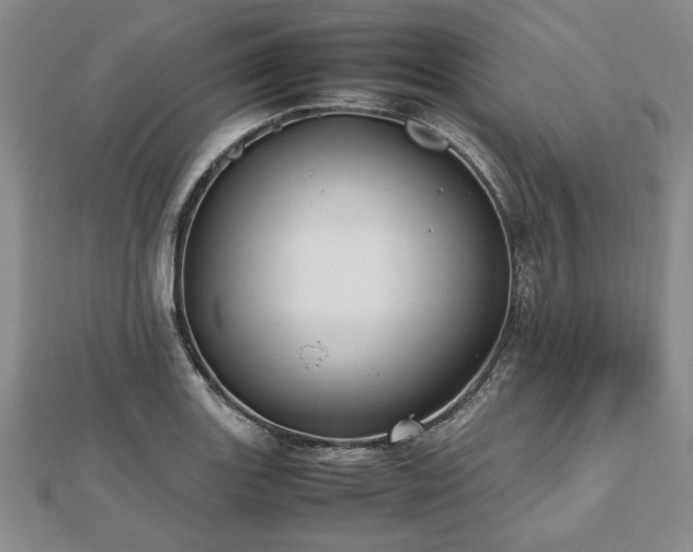 X0000112471131200908241227