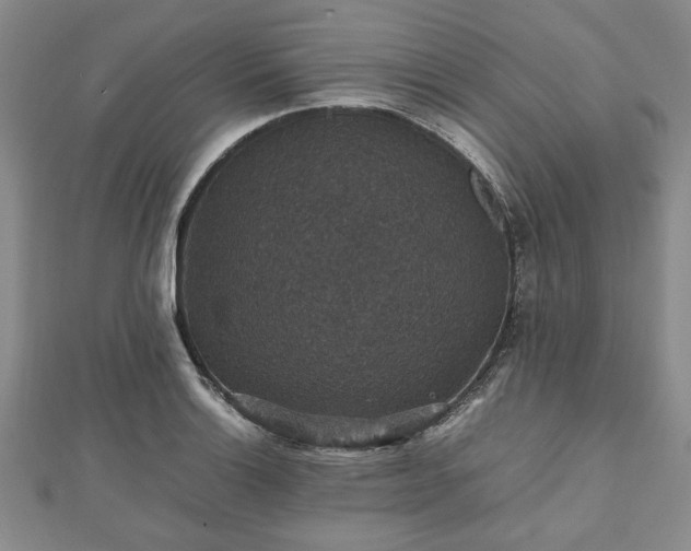 X0000112471132200908241227