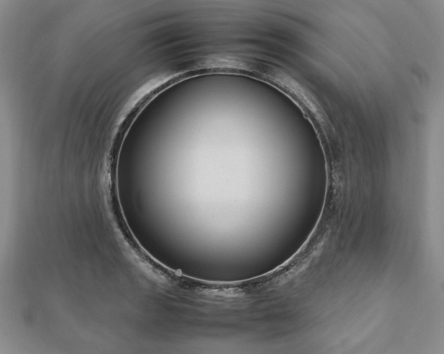 X0000112471133200908241227