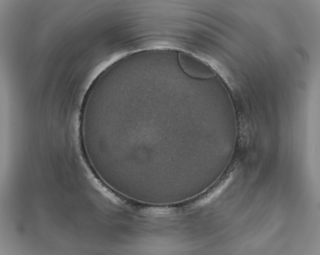 X0000112471134200908241227