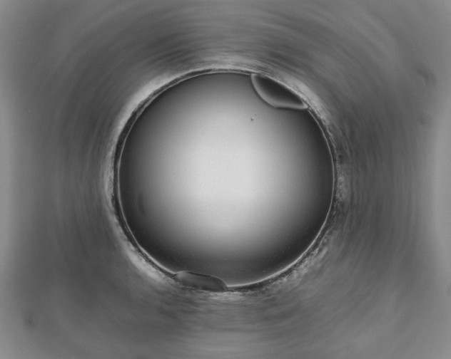 X0000112471136200908241227