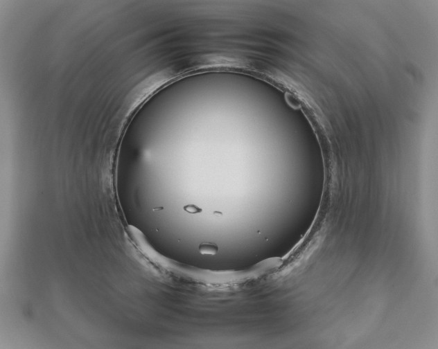 X0000112471137200908241227