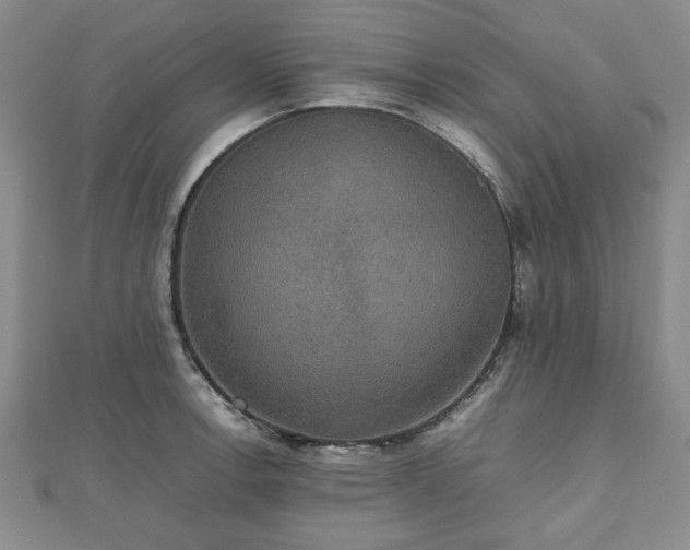 X0000112471138200908241227