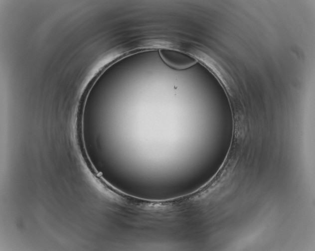 X0000112471139200908241227