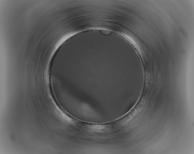 X0000112471141200908241227