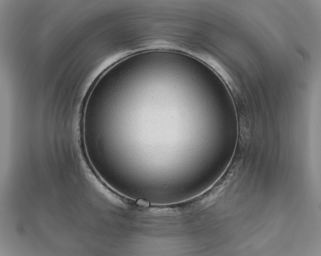 X0000112471142200908241227