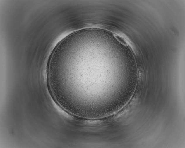 X0000112471143200908241227