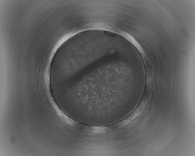 X0000112471144200908241227