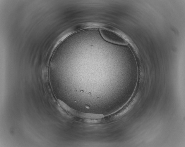 X0000112471145200908241227