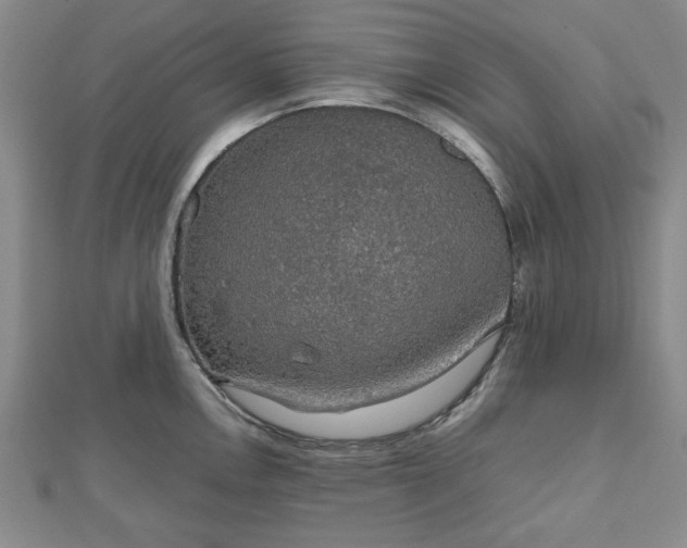 X0000112471146200908241227