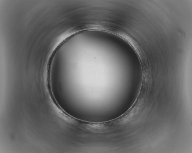 X0000112471147200908241227