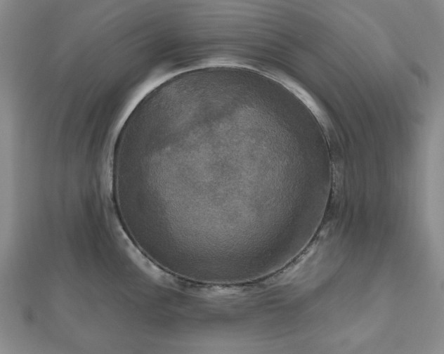 X0000112471148200908241227