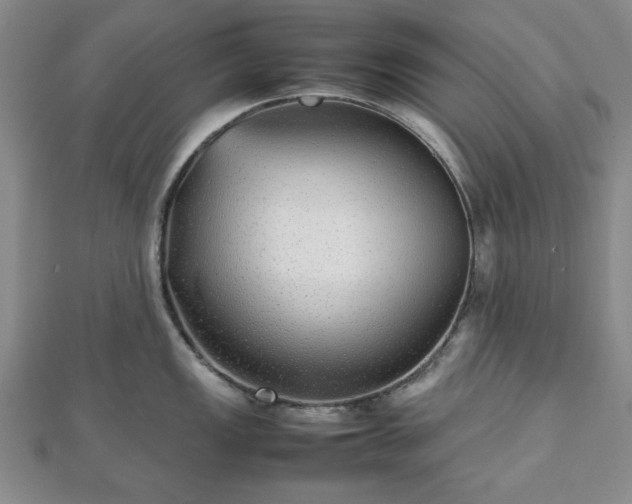 X0000112471149200908241227