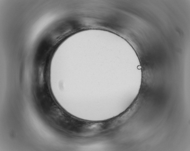 X0000112471150200908241227