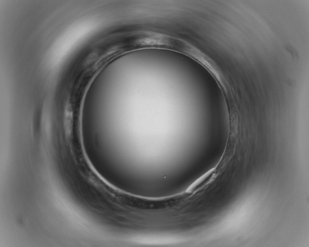 X0000112471151200908241227