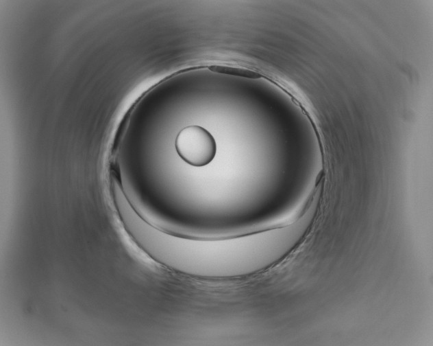 X0000112471152200908241227