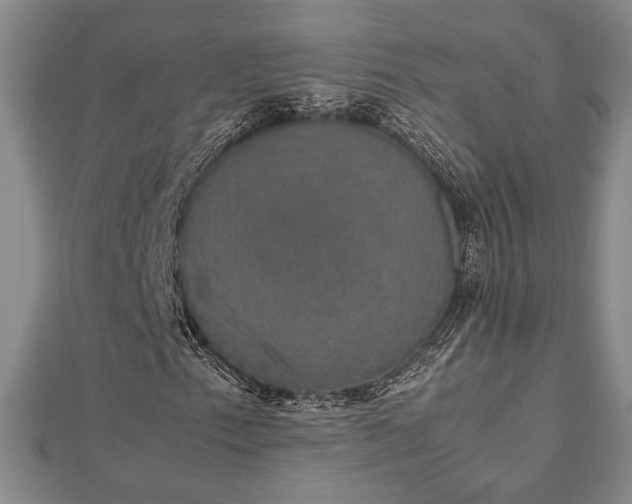 X0000112471153200908241227