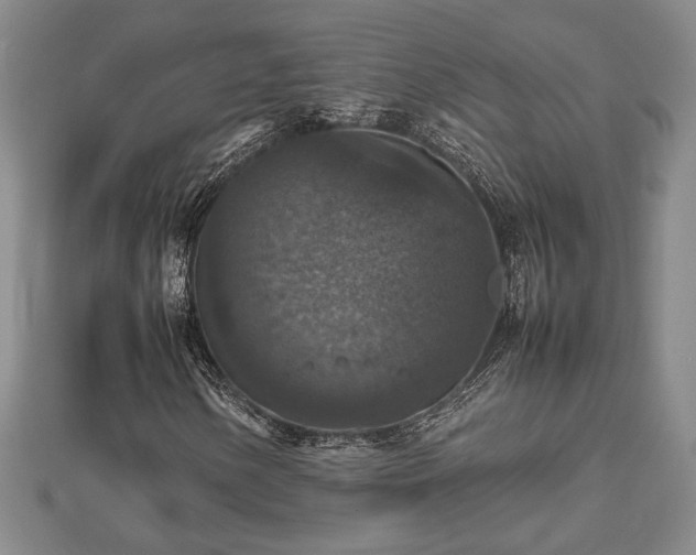 X0000112471154200908241227