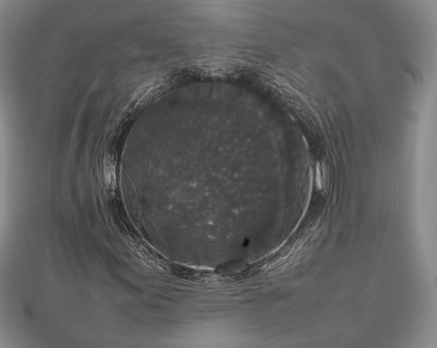 X0000112471155200908241227