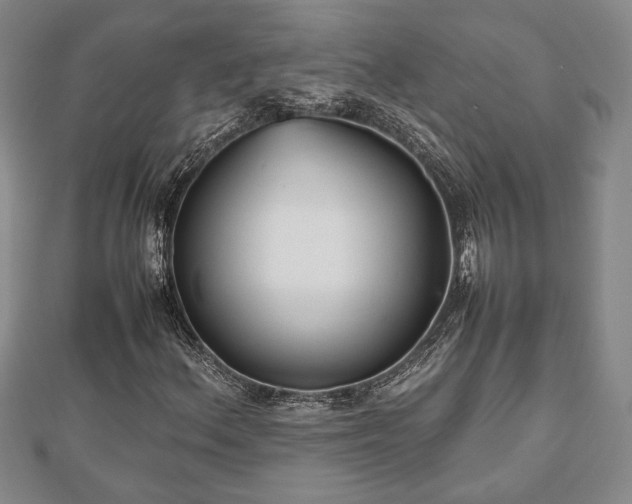 X0000112471156200908241227