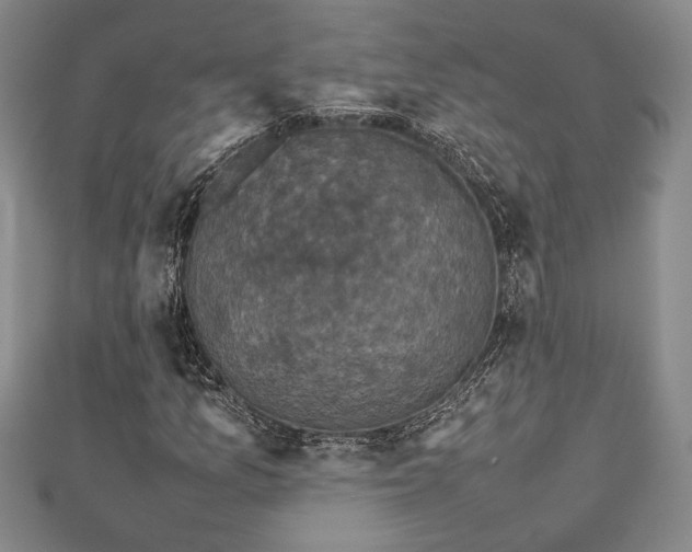 X0000112471157200908241227