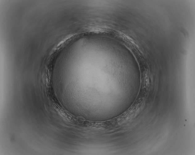 X0000112471158200908241227