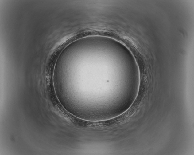 X0000112471159200908241227