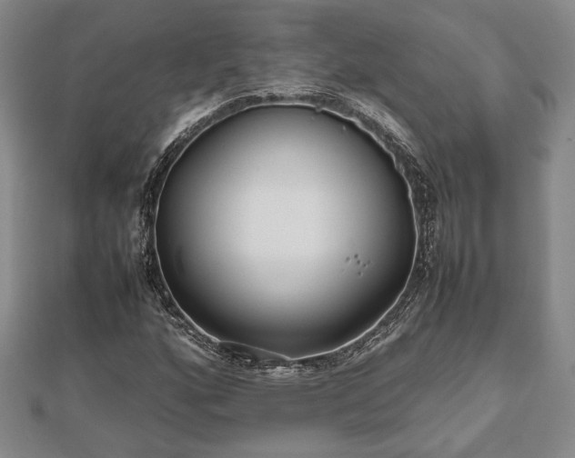 X0000112471160200908241227