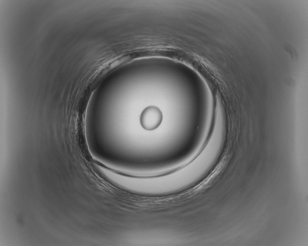 X0000112471161200908241227