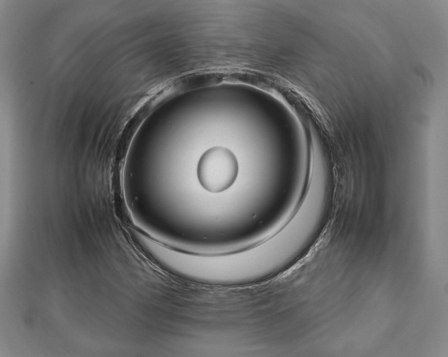 X0000112471162200908241227