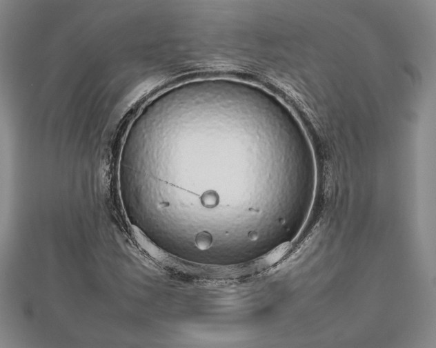 X0000112471163200908241227