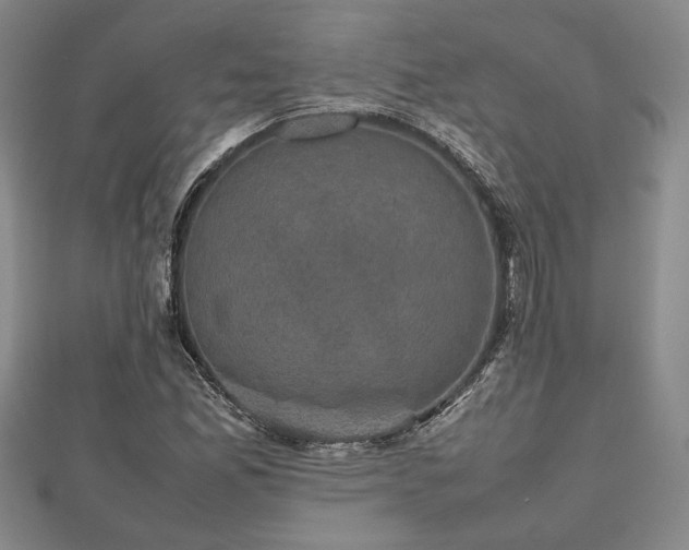 X0000112471165200908241226