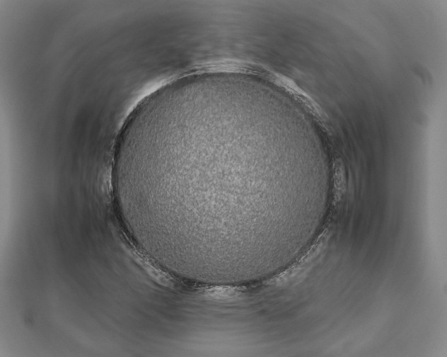 X0000112471166200908241226