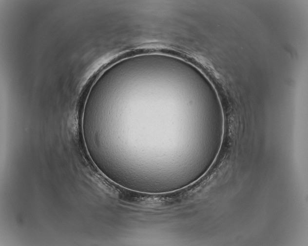 X0000112471167200908241226