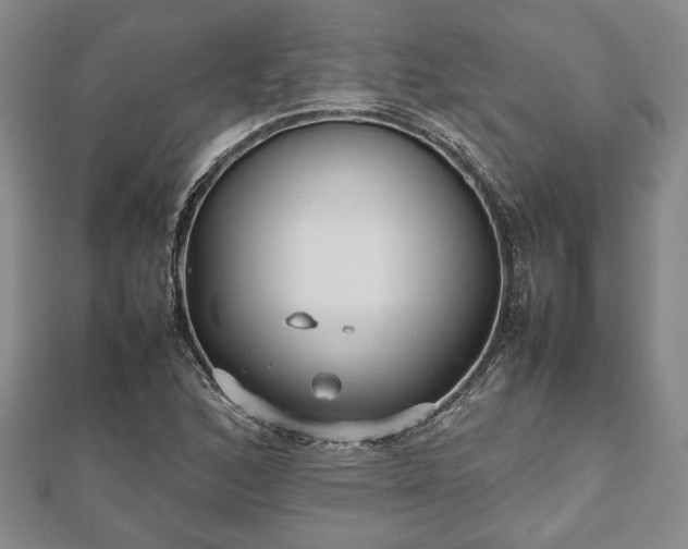 X0000112471168200908241226