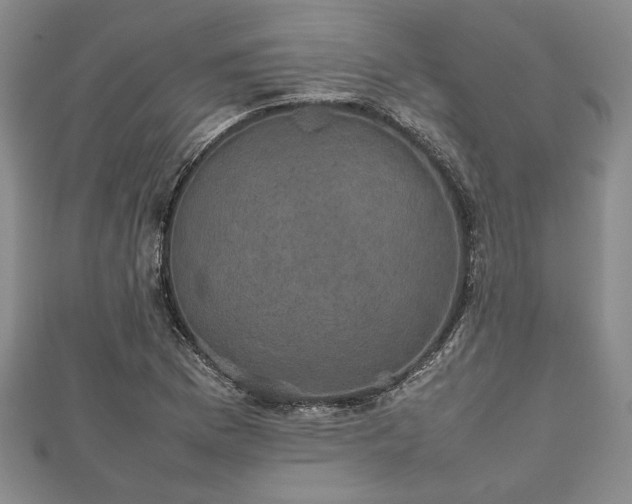 X0000112471169200908241226